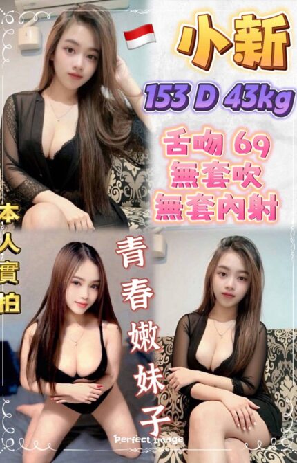 新北定點茶-小新/153/43/23/D