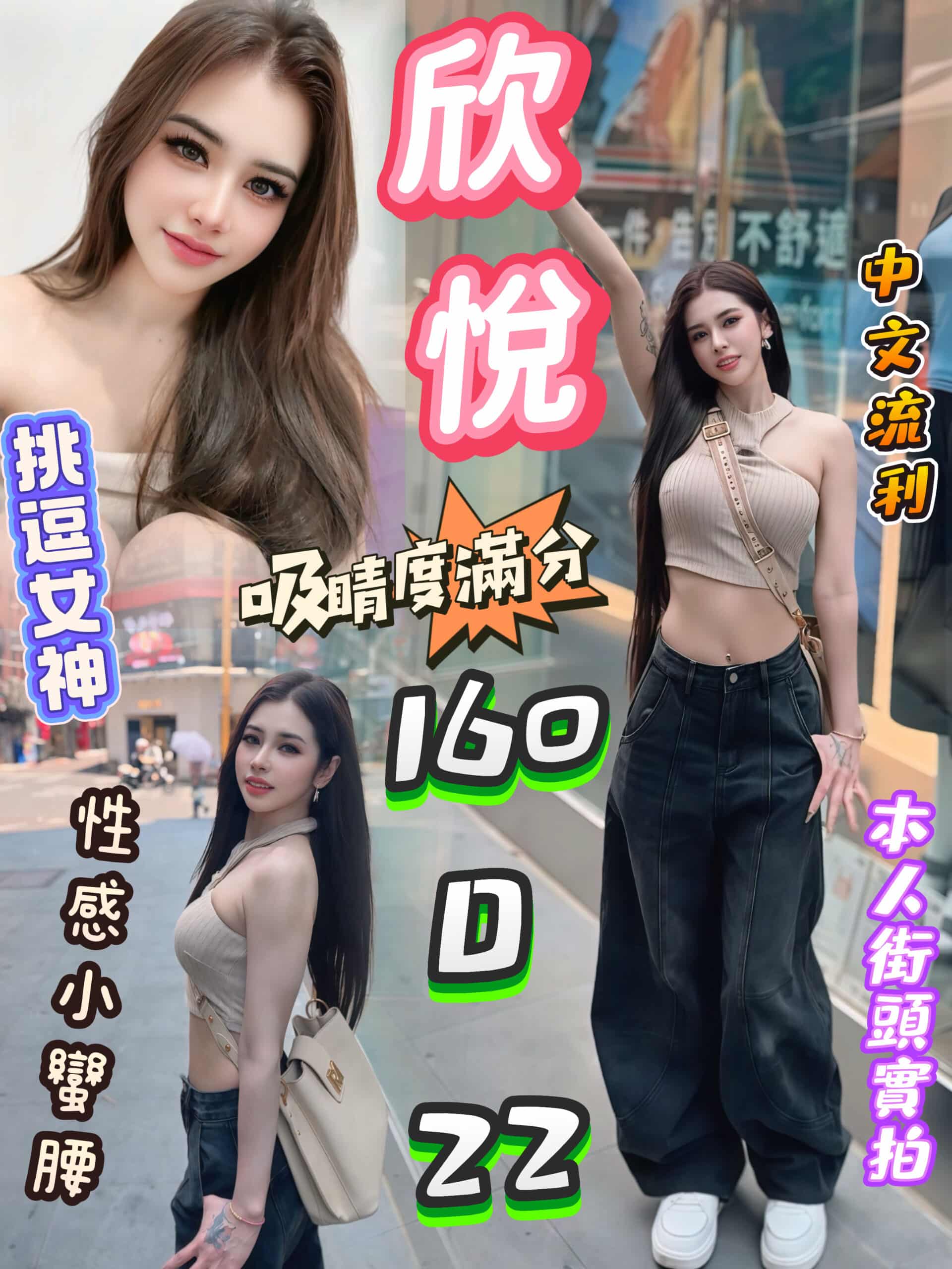 台北定點茶-欣悅/160/?/22/D 台北定點茶-欣悅/160/?/22/D