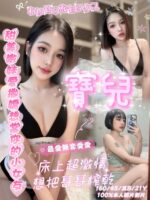 嘉義定點茶-寶兒/160/45/21/B