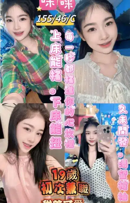 台東定點茶-咪咪/155/46/19/C