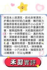 高雄定點茶-禾羽/148/38/19/C