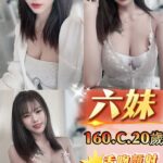 新北定點茶-六妹/160/45/20/C