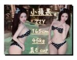 桃園定點茶-小蘋果/165/45/22/E