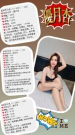 桃園定點茶-優月杏/157/49/22/D