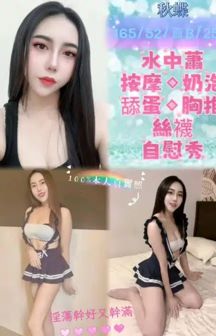 台北定點茶-秋蝶/165/52/25/B