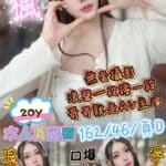 新竹定點茶-秋楓/162/46/20/D