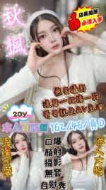 新竹定點茶-秋楓/162/46/20/D