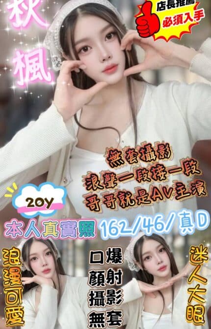 新竹定點茶-秋楓/162/46/20/D