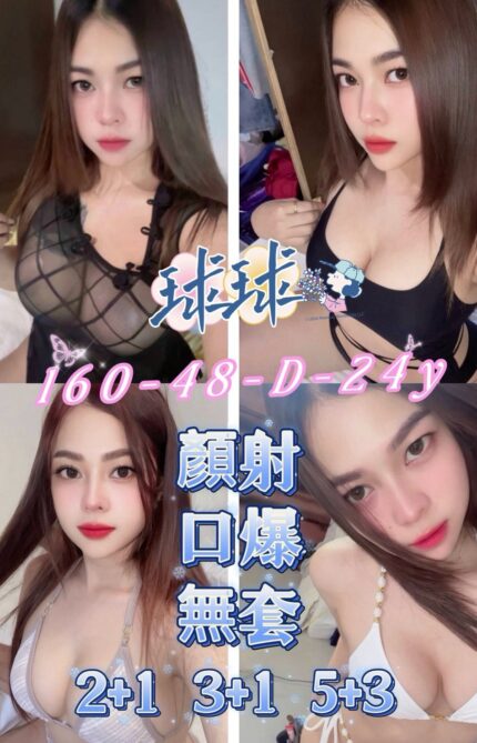屏東定點茶-球球/160/48/24/D