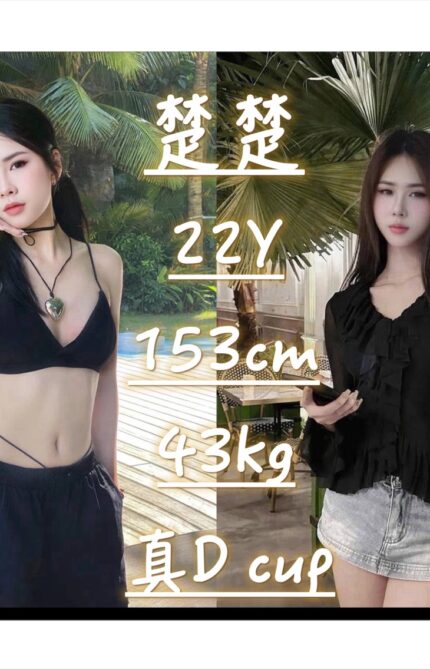 桃園定點茶-楚楚/153/43/22/D
