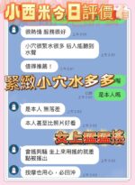 南投定點茶-小西米/160/47/?/E