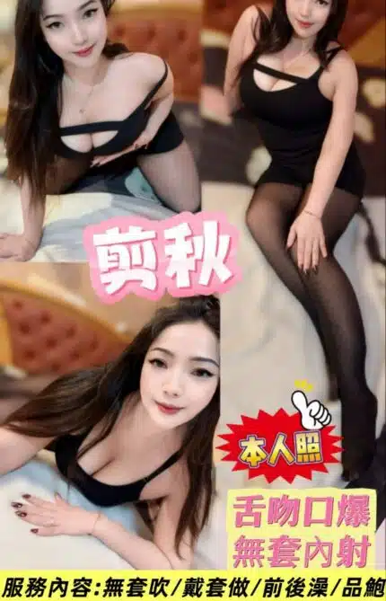 新北定點茶-剪秋/155/48/26/E