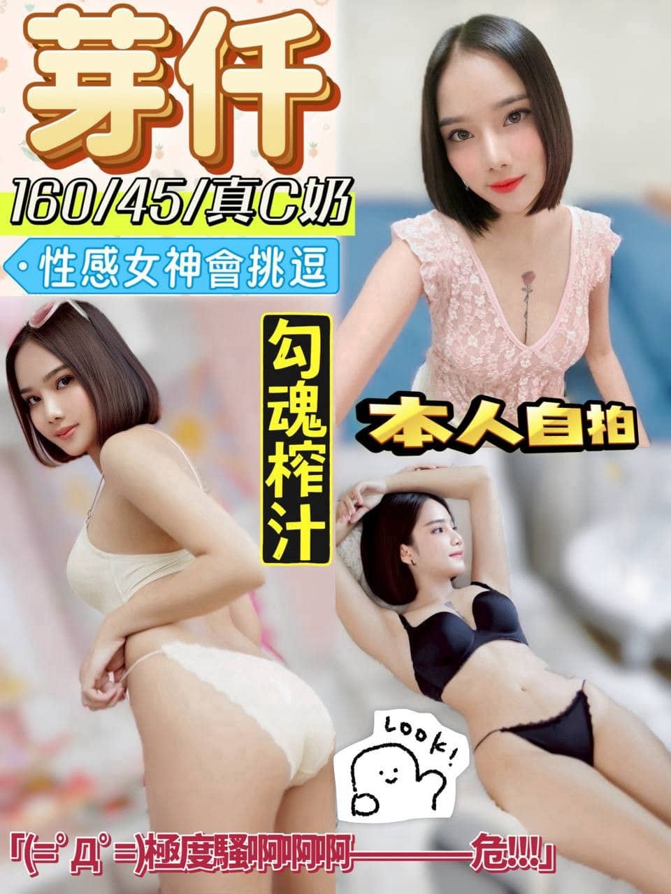 嘉義定點茶-芽仟/160/45/?/C 嘉義定點茶-芽仟/160/45/?/C