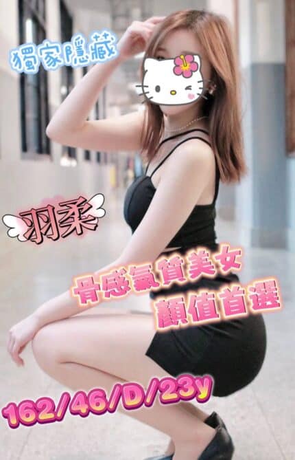 台中外送茶-羽柔/162/46/23/D