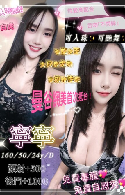 台中定點茶-寧寧/160/50/24/D