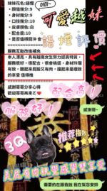 新竹定點茶-語煙/156/45/21/D