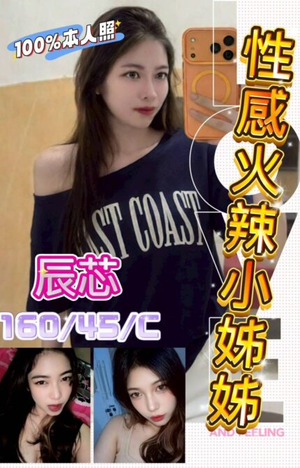 彰化定點茶-辰芯/160/45/?/C