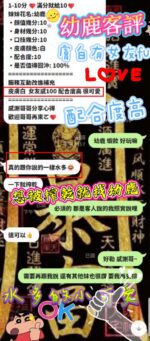 新竹定點茶-幼鹿/155/43/21/D