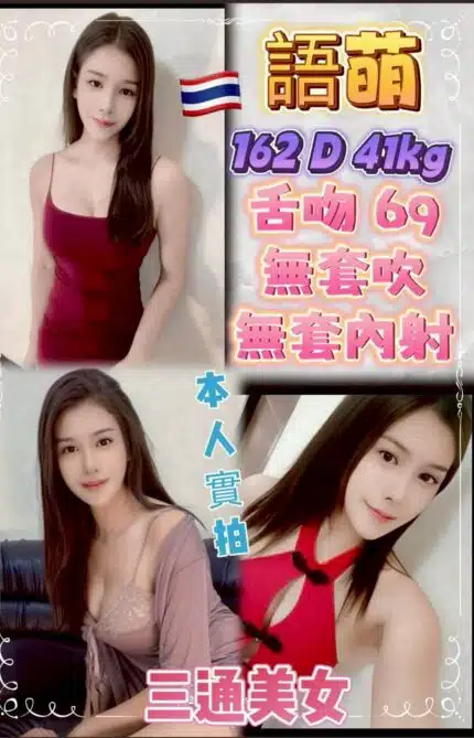 新北定點茶-語萌/162/41/25/E