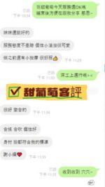 台南定點茶-甜葡萄/155/45/22/H