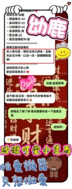 新竹定點茶-幼鹿/155/43/21/D