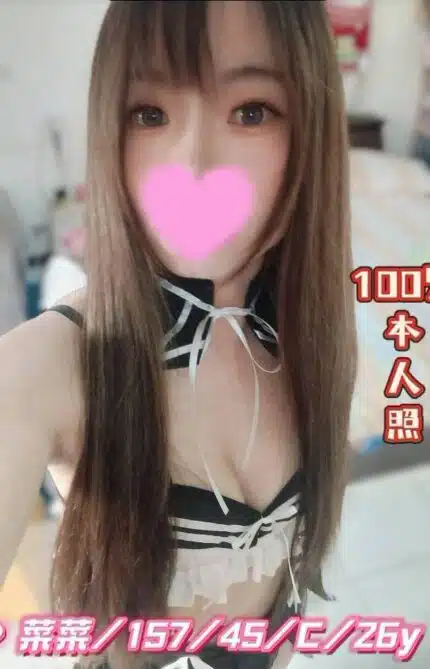 雲林外送茶-菜菜/157/45/26/C