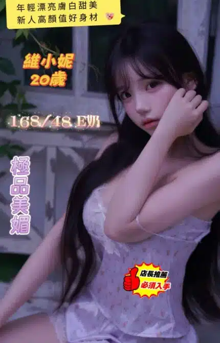台南定點茶-維小妮/168/48/20/E