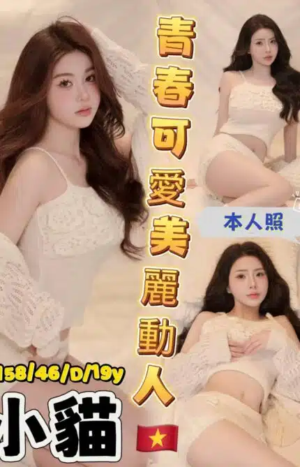 台中定點茶-小貓/158/46/19/D