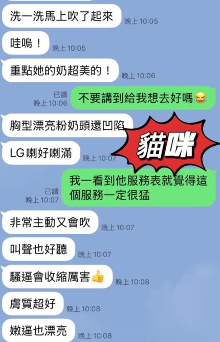 台東定點茶-貓咪/169/47/25/D