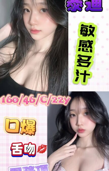 台南定點茶-泰迪/160/46/22/C