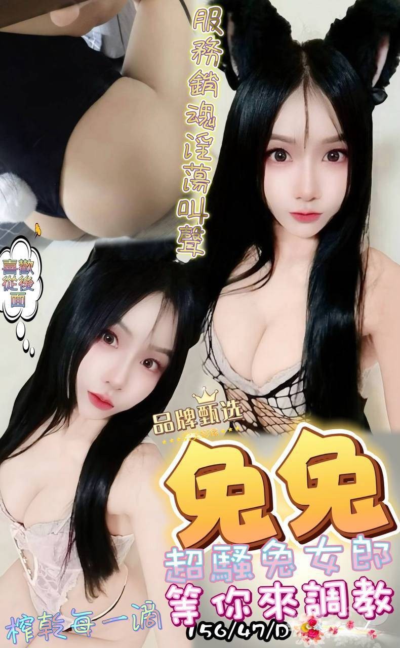 屏東定點茶-兔兔/156/47/?/D 屏東定點茶-兔兔/156/47/?/D
