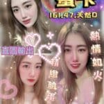 雲林定點茶-蜜卡/161/47/23/D