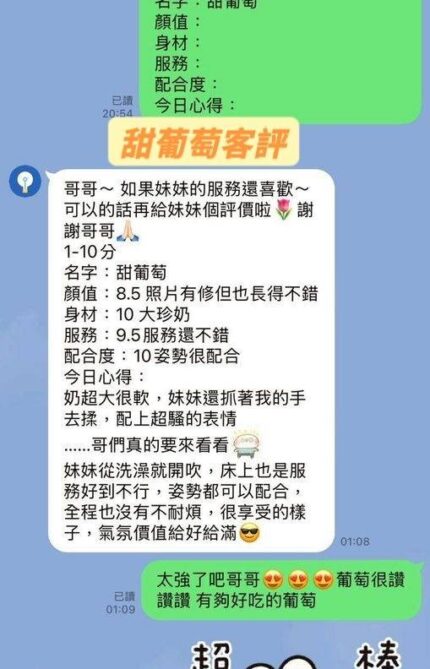 台南定點茶-甜葡萄/155/45/22/H