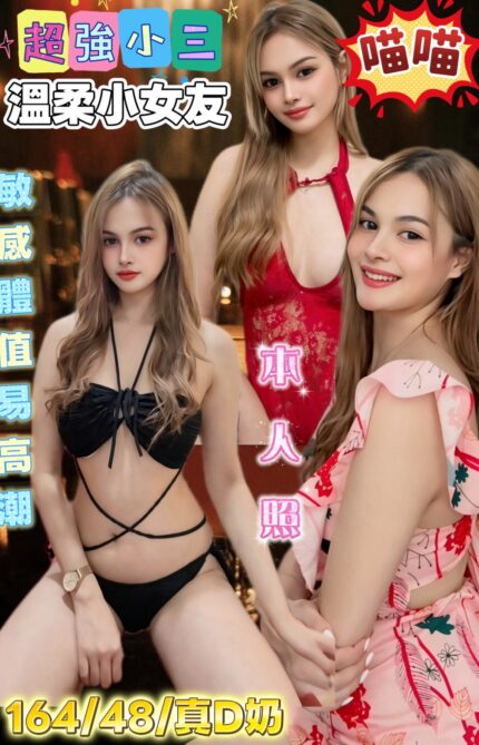 嘉義定點茶-喵喵/164/48/22/D