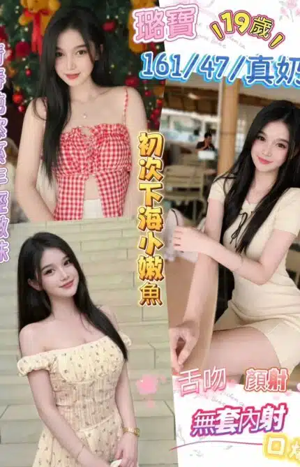南投定點茶-璐寶/161/47/19/E