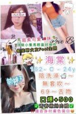 台北定點茶-海棠/162/45/24/C