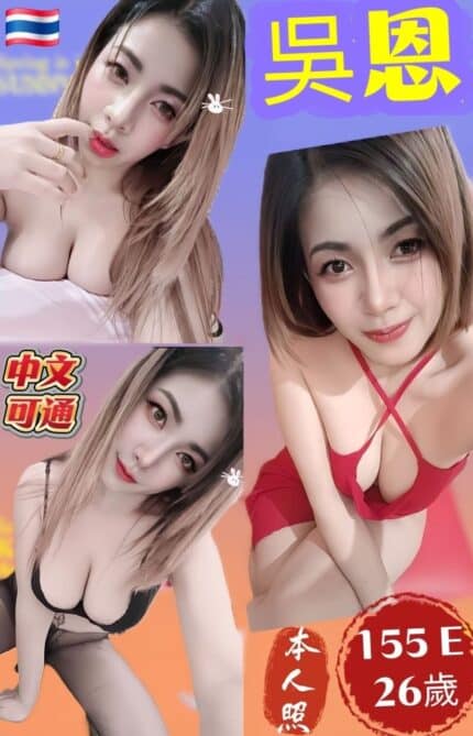 新北定點茶-吳恩/155/48/26/E