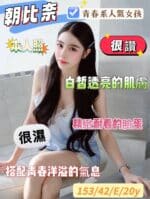台南定點茶-朝比奈/153/42/20/E