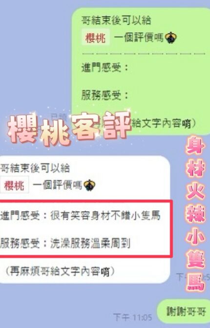 彰化定點茶-櫻桃/150/43/20/E