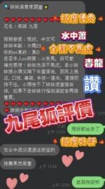 屏東定點茶-九尾狐/162/45/25/D