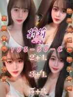 屏東定點茶-莉莉/165/50/23/C