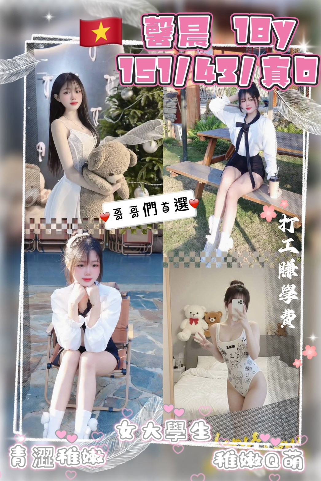 桃園定點茶-馨晨/151/43/18/D 桃園定點茶-馨晨/151/43/18/D