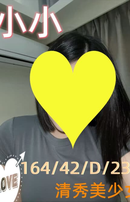 新竹外送茶-小小/164/42/23/D