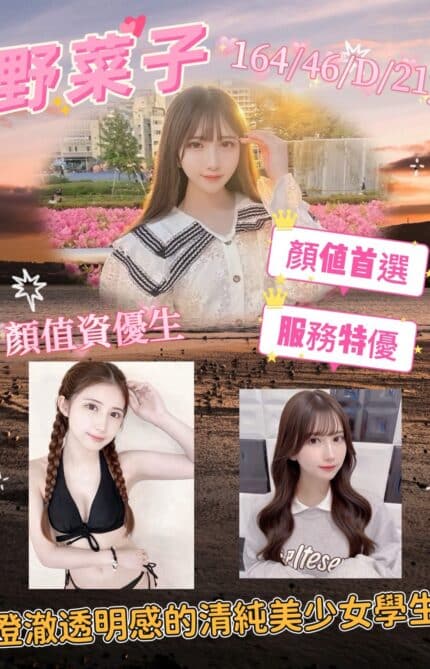 台北外送茶-野菜子/164/46/21/D