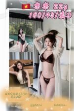 桃園定點茶-樂樂/160/43/22/D