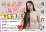 嘉義定點茶-喵喵/164/48/22/D