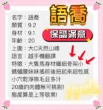 桃園定點茶-語喬/166/47/20/D