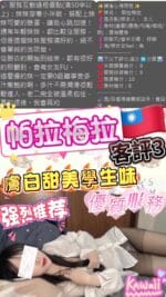 台北定點茶-帕拉梅拉/163/40/22/C