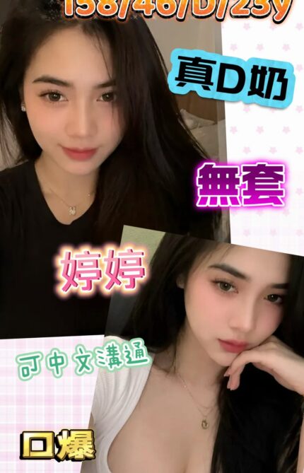 台南定點茶-婷婷/158/46/23/D
