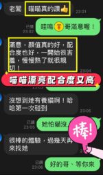 台中定點茶-喵喵/157/44/22/C